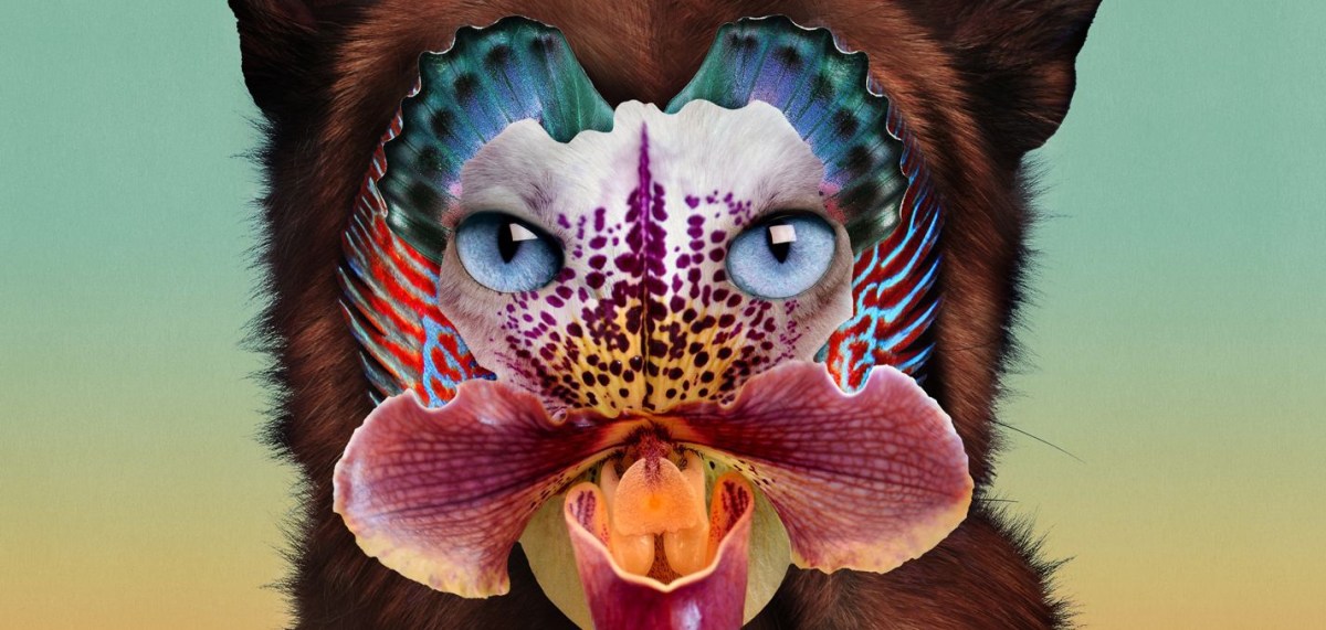 Single review: Galantis – ‘No&nbsp;Money’