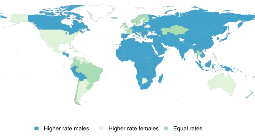 Gender divides in internet usage